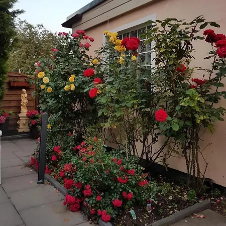 In Mit Grossem Balkon Dahme